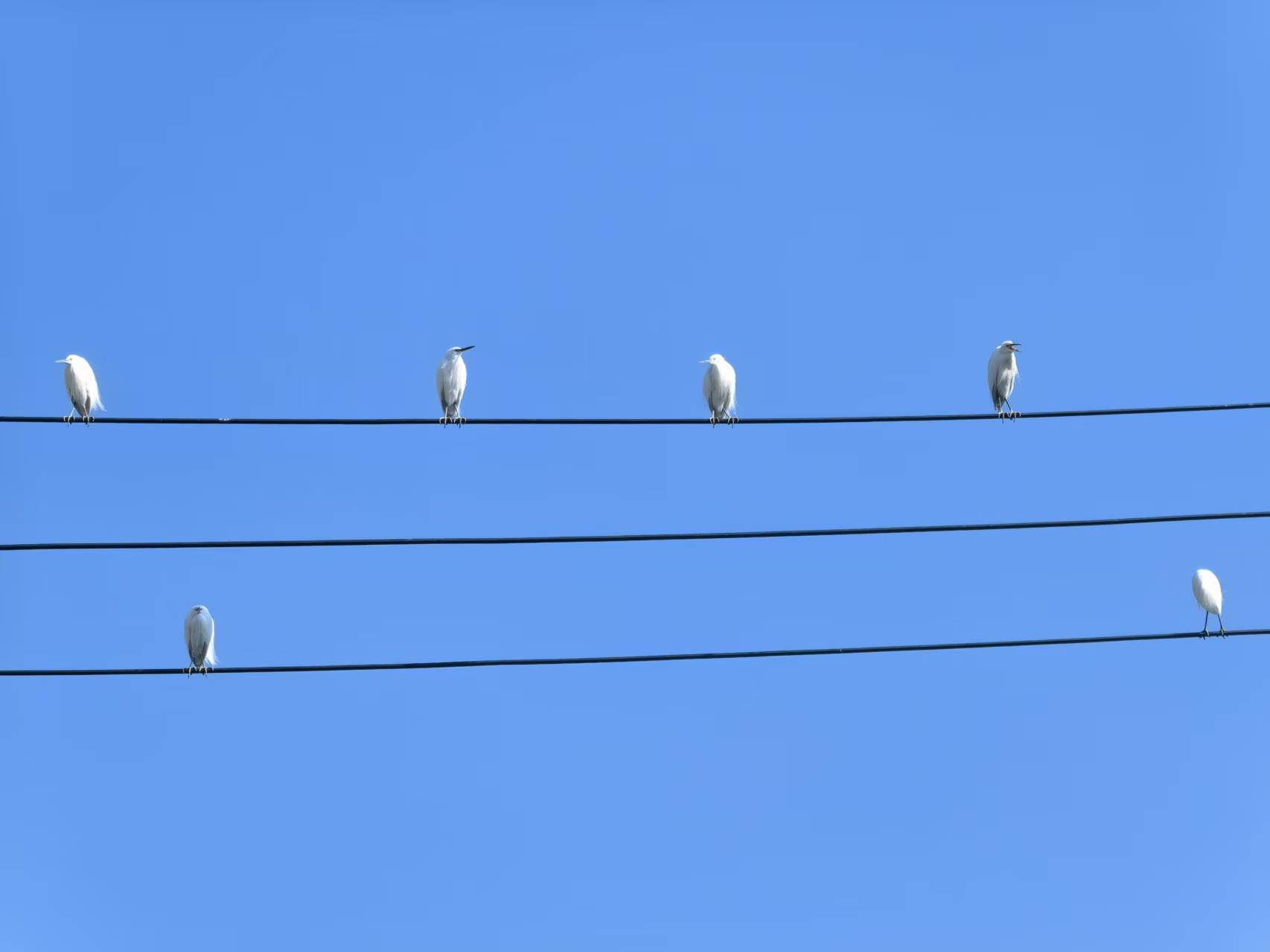 A photo of my workspace